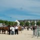 4/23. Landivisiau. Concours du Cheval breton. Lun 09.06.2014, 11 h 11.