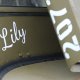 Camp américain. La Jeep Lily (détail). Sam 29.07.2023, 15h52m34.