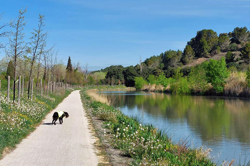 1/11. Le canal du Midi, en Minervois. © Pho Tos. Ven 07.04.2023.