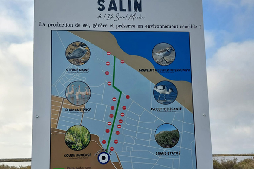 1/18. Le salin de l'île Saint-Martin. © Pho Tos. Sam 12.08.2023.
