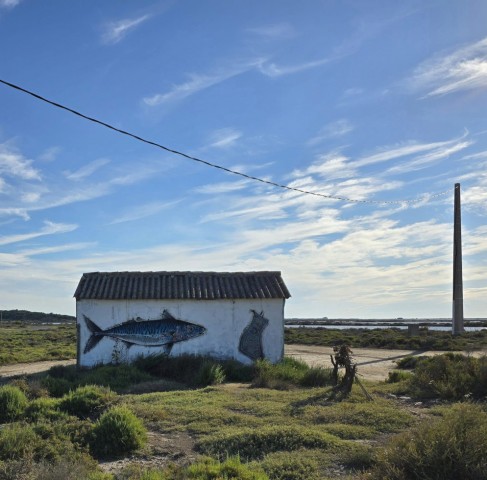 21.07.2024. Déterminées du vendredi, Gruissan, L'Ayrolle, Saint-Pierre-La-Mer, Boutenac