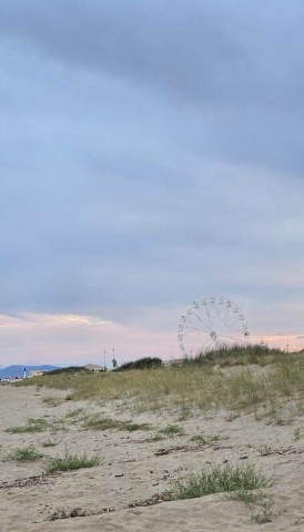21.07.2024. Déterminées du vendredi, Gruissan, L'Ayrolle, Saint-Pierre-La-Mer, Boutenac