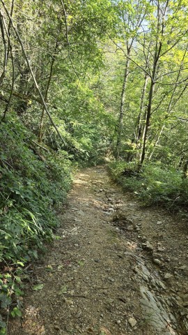 30.08.2024. Rocamadour, Najac, Bor-Et-Bar