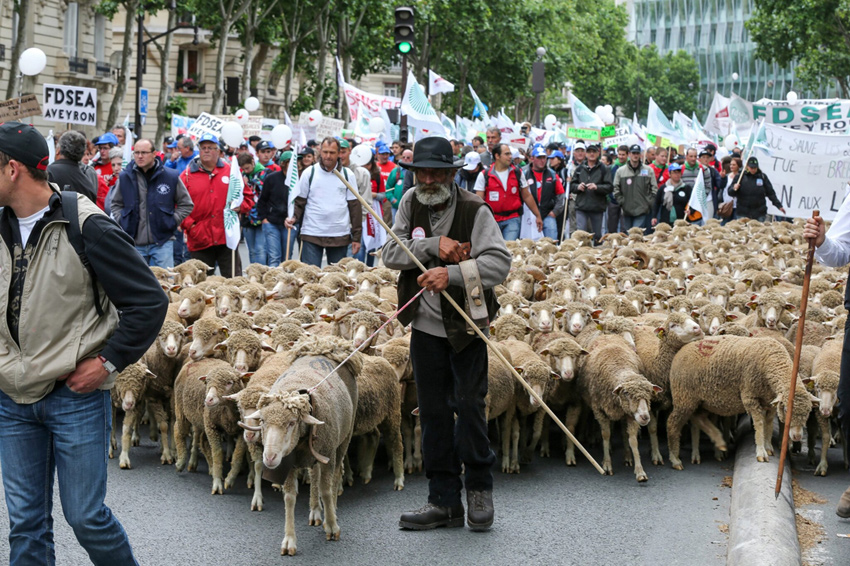 1/36. Les agriculteurs en colère marchent sur Paris. © Michel Stoupak. Dim 23.06.2013, 11h49m06.