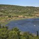 8/33. Postée jeu 15.08.2024, 14h26. Bages, Peyriac-de-Mer et les cigognes. © Pho Tos.