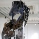 5/16. 14h06m00. Sam 16.11.2024. Le plus grand squelette de dinosaure jamais vendu aux enchères en France. © Michel Stoupak.