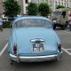 51/65. Superbe Jaguar. Dim 01.07.2018, 17 h 29.