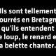20/26. Blagues bretonnes venues d'Alsace.